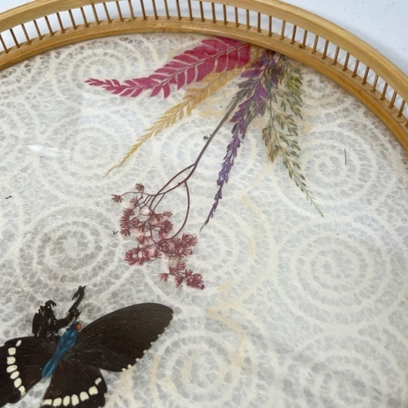 Vintage MCM Pressed Butterfly Bamboo Tray &‎ Coaster Set 6 Pieces - Picture 9 of 13